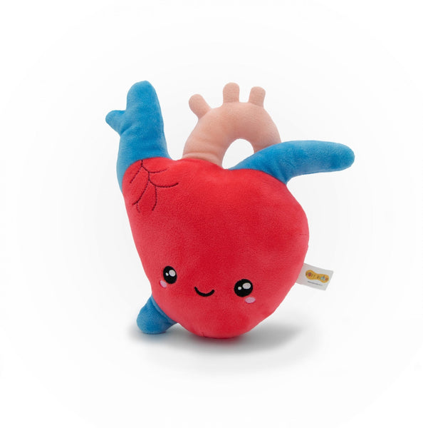 Aortina the Heart Plushie - Premium and Unique gift bodybuddies, educational, forkids, preschooler, softies  from Body Buddies - Shop now at AU family concept store Mommy's Pouch