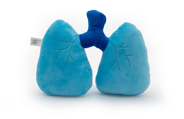 Bronchiole Bros the Lungs_Plushie - Premium and Unique gift bodybuddies, educational, forkids, preschooler, softies  from Body Buddies - Shop now at AU family concept store Mommy's Pouch