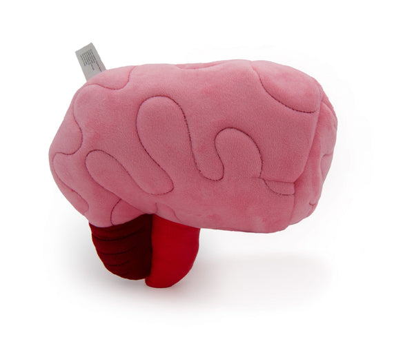 Cerebella the Brain_Plushie - Premium and Unique gift bodybuddies, educational, forkids, preschooler, softies  from Body Buddies - Shop now at AU family concept store Mommy's Pouch