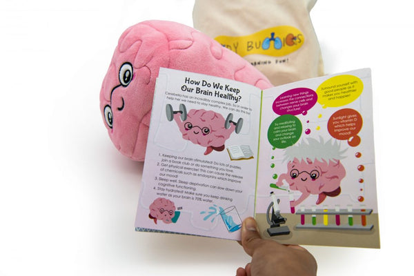 Cerebella the Brain_Plushie - Premium and Unique gift bodybuddies, educational, forkids, preschooler, softies  from Body Buddies - Shop now at AU family concept store Mommy's Pouch
