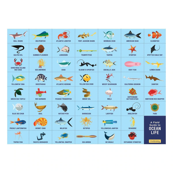 Search & Find Puzzle – Ocean Life - Premium and Unique gift 4+, 64pieces, mudpuppy, preschooler, puzzle, seaanimal  from Mudpuppy - Shop now at AU family concept store Mommy's Pouch