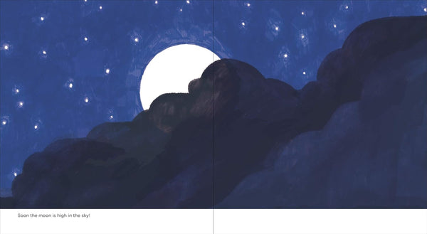 🌕 Full Moon by Camilla Pintonato - A Kirkus Best Bedtime Book of 2021