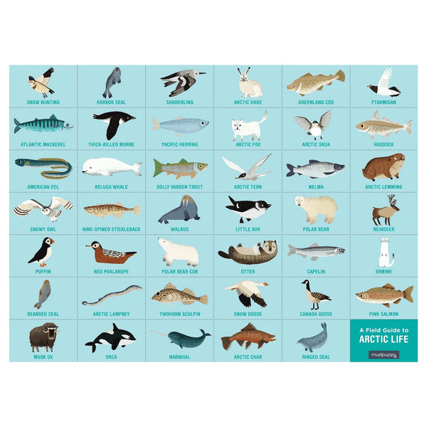 Search & Find Puzzle – Arctic Life - Premium and Unique gift 4+, 64pieces, animal, mudpuppy, preschooler, puzzle, seaanimal  from Mudpuppy - Shop now at AU family concept store Mommy's Pouch