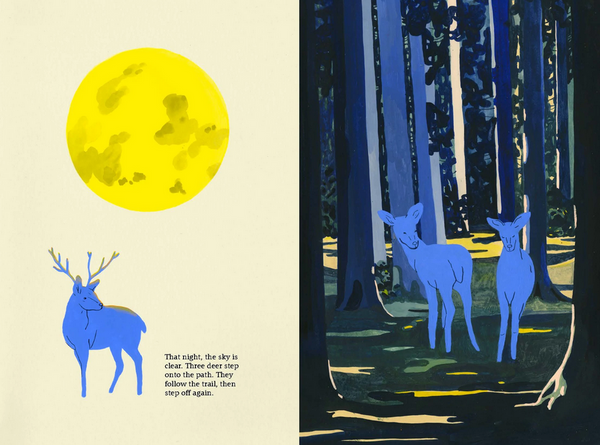 The Path - Premium and Unique gift childrensbook, kidsbook, littlegestalten, nature, picturebook, toddler  from Little Gestalten - Shop now at AU family concept store Mommy's Pouch